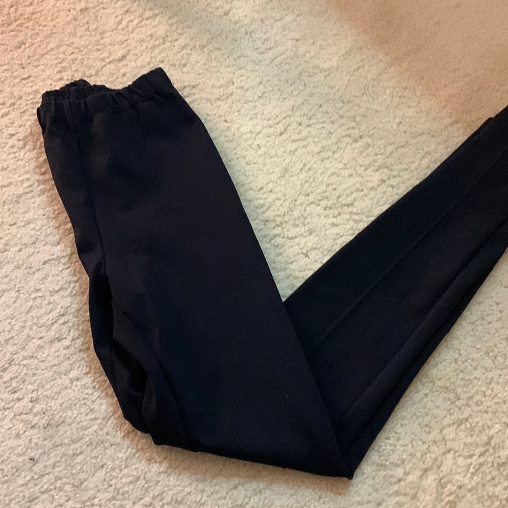 Aritzia Babaton slim work pant